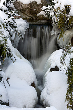 MD-282 Dow Gardens in Winter at Midland Michigan