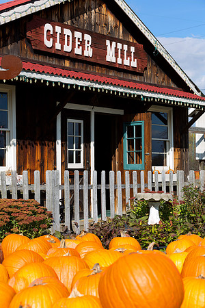 Baynes Apple Farm - Freeland Michigan
