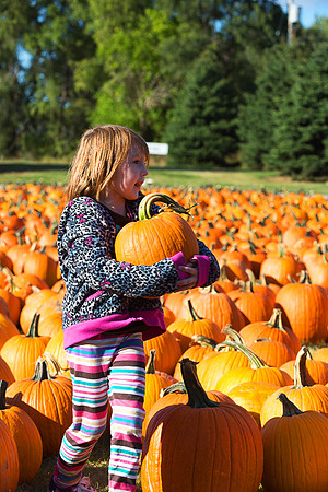 At Johnson's Giant Pumpkin Farm