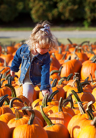 At Johnson's Giant Pumpkin Farm