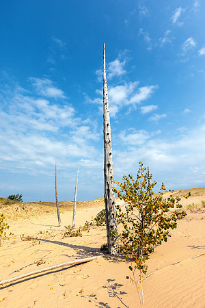 SB-198 9Q4A8252