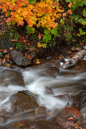Stream in Keweenaw UP-389 9Q4A5744_Data