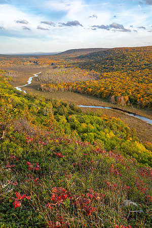 Carp River Valley Up-393 9Q4A0158