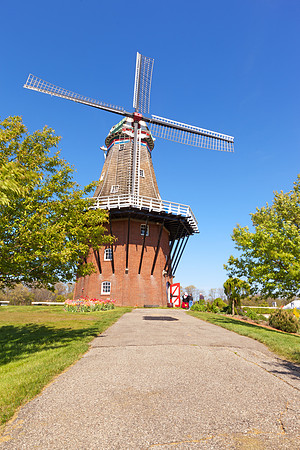 Mstr IMG_3613