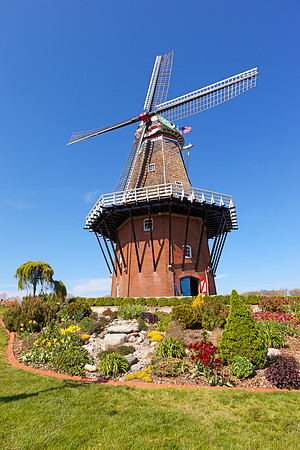 Mstr IMG_3621