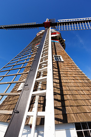 Mstr IMG_3647