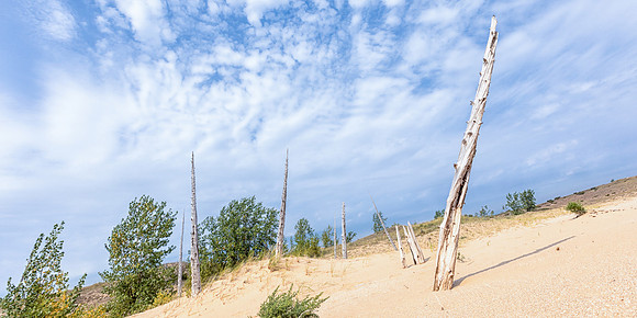 SB-160 - Sleeping Bear Dunes Ghost Forest