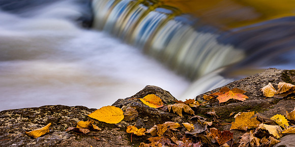 UP-200 - Scattered Leaves at Bond Falls