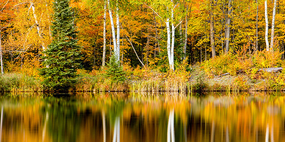 UP-201 - Lake Plumbago in Autumn