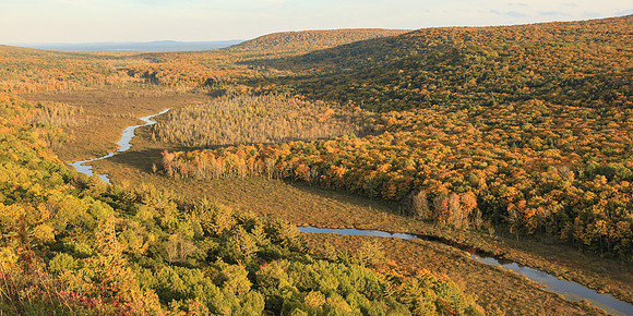 UP-209 - Carp River Valley - Porcupine Mountains