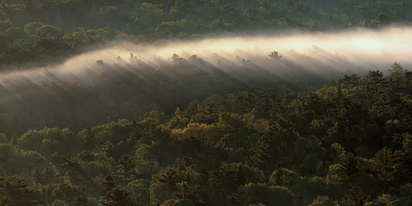 UP-287 - Forest and Fog - Copper Harbor