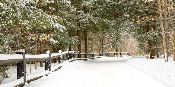 UP-334 - Snowy path to Tahquamenon