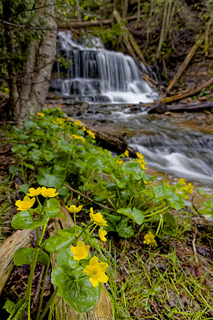 UP-798 CS214125_DxO-Wagner Falls