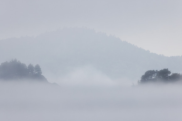 UP-808 CS238978-Presque Isle Park Fog