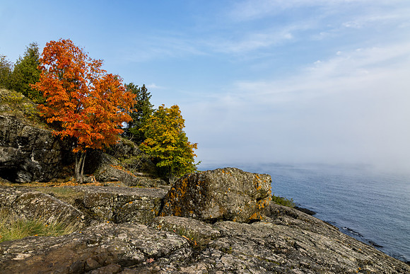 UP-810 CS238578-Superior Fog