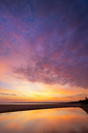 SB-352 CS236025_Shalda Sunrise