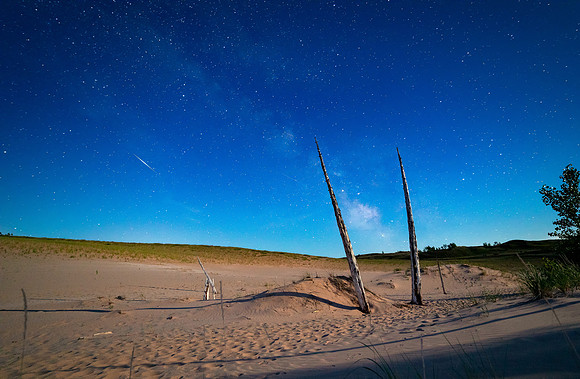 Ghost Trees with Milky Way