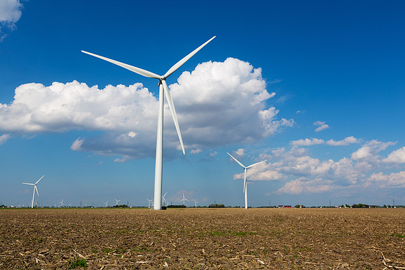 Windmill Farm