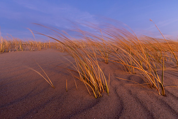 Bending to Nature