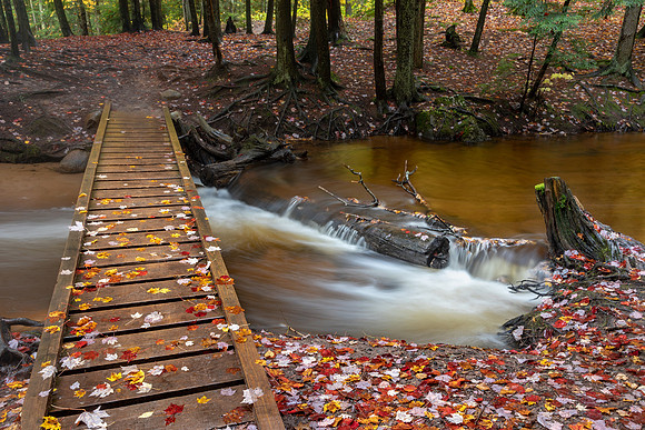 Footbridge to Autumn UP-456 9Q4A5293
