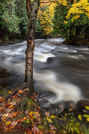 Carp River in Autumn UP-457 9Q4A5251