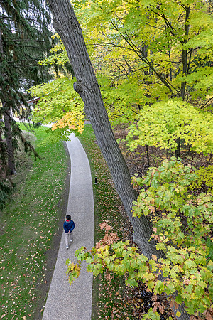 MD-310 Canopy Walk 9Q4A6705
