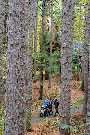MD-311 Canopy Walk 9Q4A6649