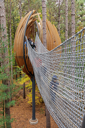 MD-315 Canopy Walk 9Q4A6607