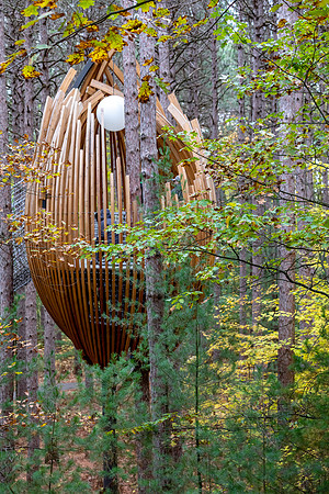 MD-317 Canopy Walk 9Q4A6761