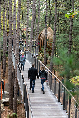 MD-318 Canopy Walk 9Q4A6735