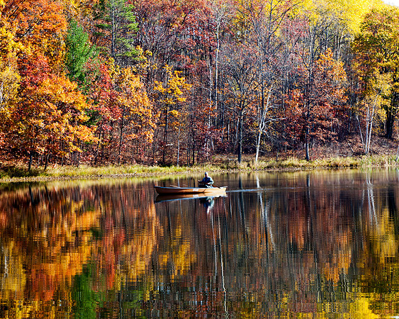Reeling in Autumn