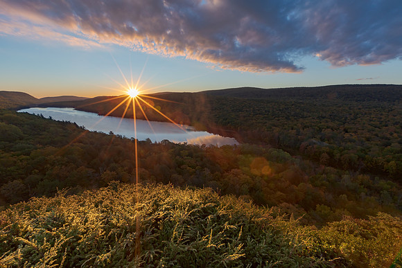 Mountain Sunstar