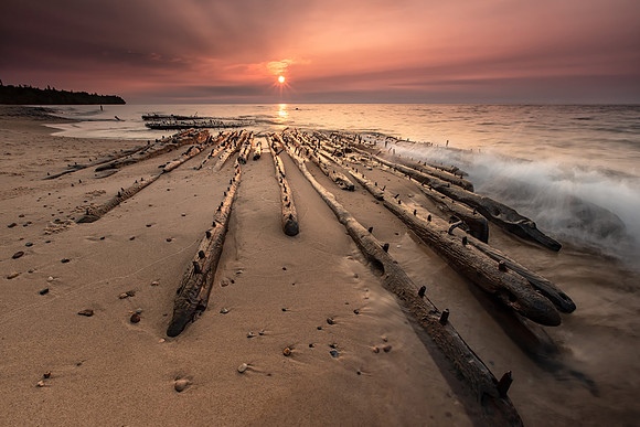 Bones on the Graveyard Coast
