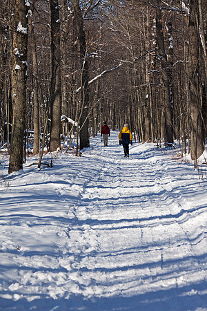 Tobico Marsh in Winter - Bay City State Park - Michigan