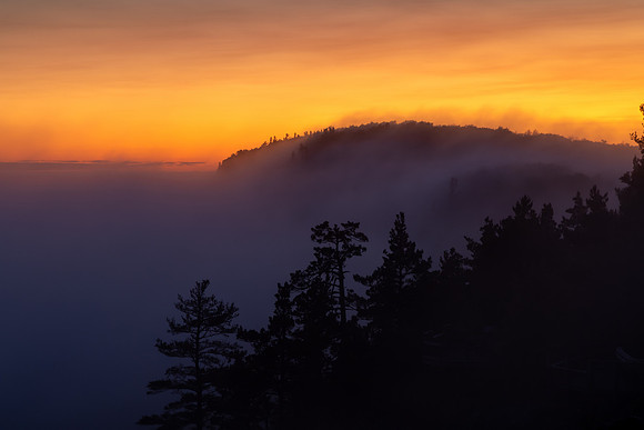 Sunset Fog