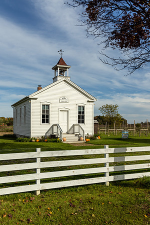 CS217589
