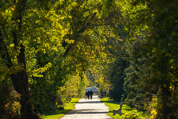 CS216805-Rail Trail