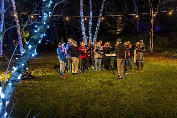 CS239436-DG Carolers