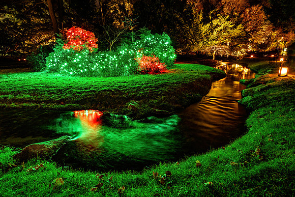 CS239536-DG Christmas Walk Path