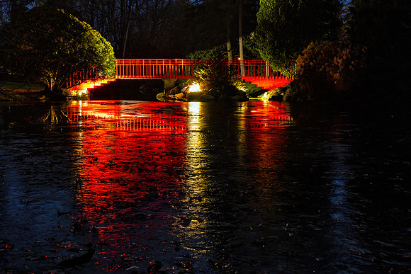 CS239456-DG Red Bridge