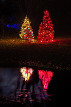CS239529-DG Christmas Walk