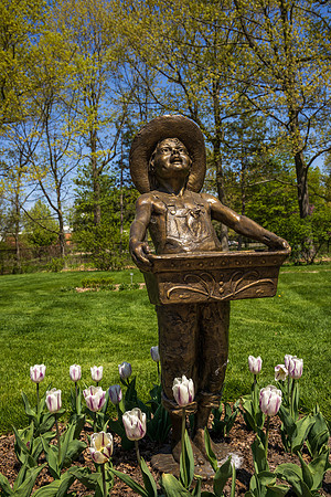 _S237649-DG