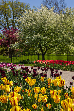 _S237680-DG copy