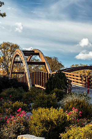 CS217912-Edit