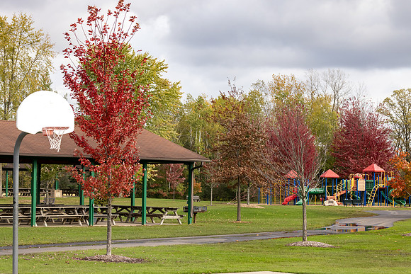 CS216628