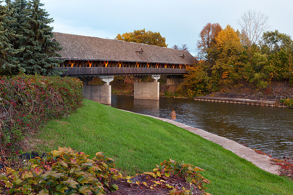 Mstr IMG_9012