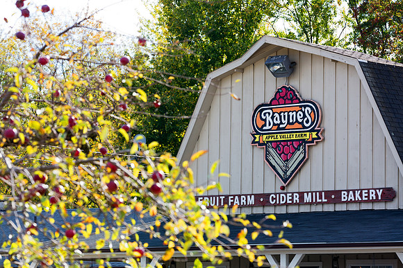 Baynes Apple Farm - Freeland Michigan