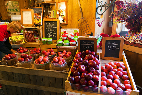 Baynes Apple Farm - Freeland Michigan