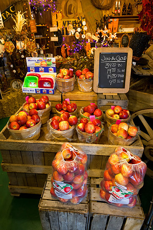 Baynes Apple Farm - Freeland Michigan
