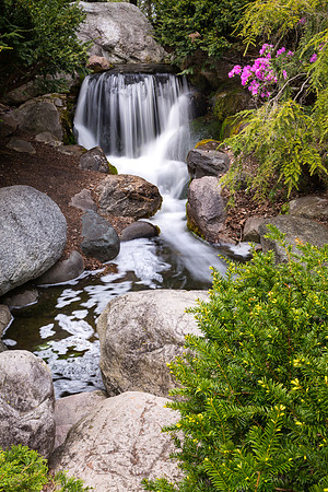 Dow Gardens Waterfall in Spring